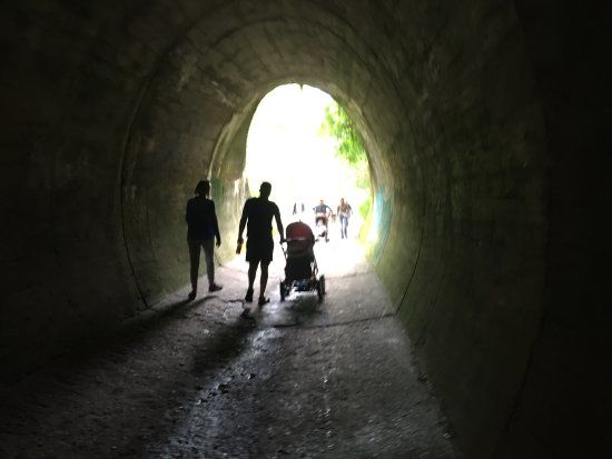 Wędrówki i rowerowe trasy